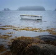 Купить водоросли фукус дробленые оптом и в розницу