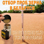 Отбор проб зерна в Беларуси (самосвал, хоппер, склад)