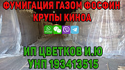 Фумигация, газация, дезинсекция, обработка газом фосфин ph3 крупы киноа в Беларуси (Минск, Брест, Гродно, Витебск, Могилев, Гомель). ИП Цветков И.Ю