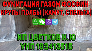 Фумигация, газация, дезинсекция, обработка газом фосфин ph3 крупы полбы (камут, спельта) в Беларуси (Минск, Брест, Гродно, Витебск, Могилев, Гомель).