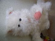 Собака - мягкая игрушка