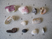 Камни и ракушки для аквариума. Новые (продажа лотом)