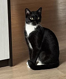 Нежная Амира