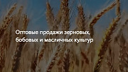 ООО Агропром - оптовая реализация продуктов питания экспорт