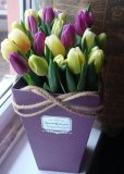Тюльпаны к 8 марта и 14 февраля оптом