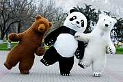Большие Медведи Панда на ваш праздник