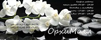 Орхидеи в Молодечно (ОрхиМолл)